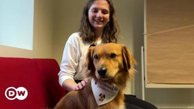 Therapiehund Little Joe unterstützt beim Studium
