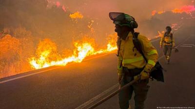 Tote bei verheerendem Waldbrand in Südspanien