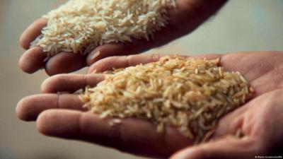 Wem gehört Basmati? EU vor schwieriger Entscheidung