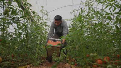 Westjordanland: Israels Expansion verdrängt Palästinenser