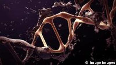 Wie wirkt sich kosmische Strahlung auf Lebewesen aus?