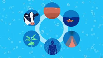 Wieviel CO2 absorbiert die Erde?