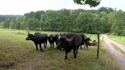 alle wetter!