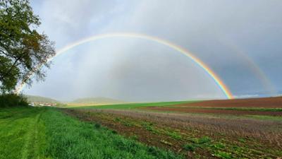 alle wetter!