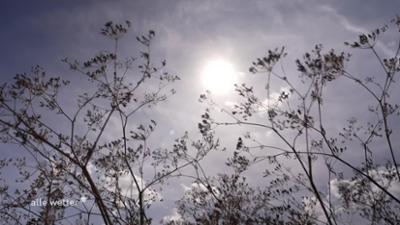 alle wetter! alle wetter!
