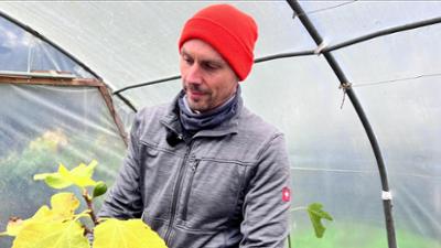 alle wetter! alle wetter!