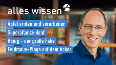 alles wissen: vom 07.10.2021
