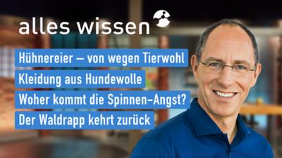 alles wissen: vom 08.07.2021