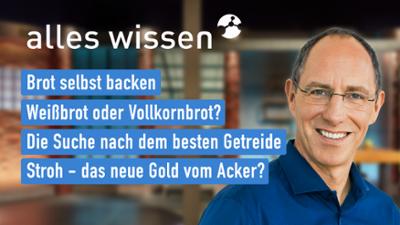 alles wissen: vom 19.08.2021