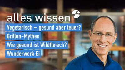 alles wissen