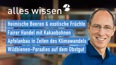 alles wissen: vom 29.07.2021 alles wissen: vom 29.07.2021