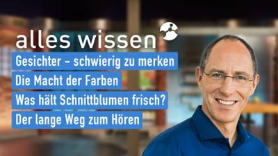 alles wissen