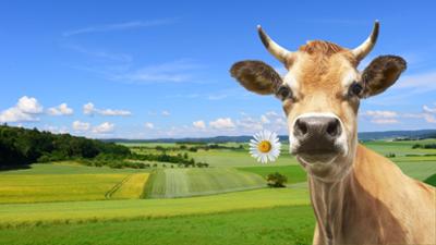 Bioküche aus der Wetterau: Erlebnis Hessen - Bioküche aus der Wetterau