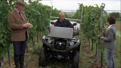 Der Winzerkönig: Folge 21: Der Anschlag