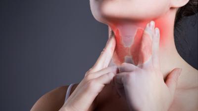 Die Gesundmacher: Die Schilddrüse: kleines Organ – große Wirkung