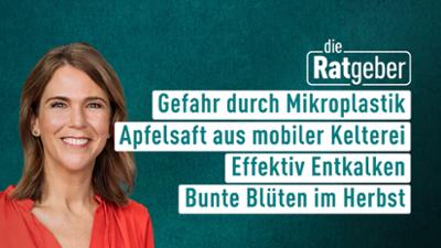 Die Ratgeber