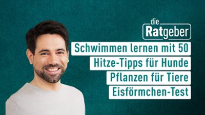 Die Ratgeber