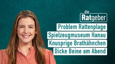 Die Ratgeber