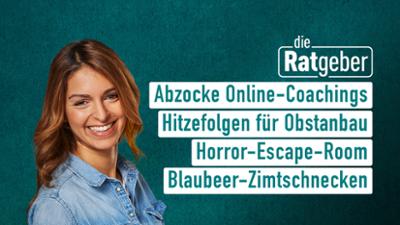 Die Ratgeber