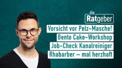Die Ratgeber