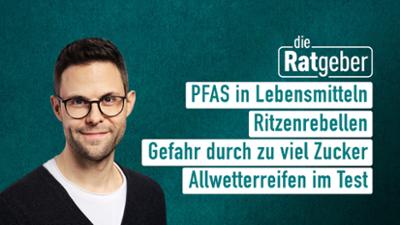 Die Ratgeber