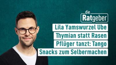 Die Ratgeber