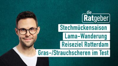 Die Ratgeber Die Ratgeber