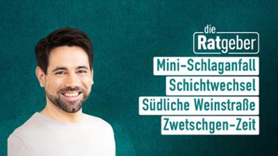Die Ratgeber Die Ratgeber