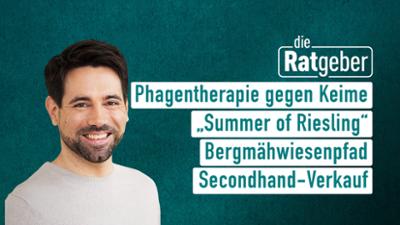 Die Ratgeber