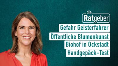 Die Ratgeber