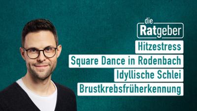 Die Ratgeber