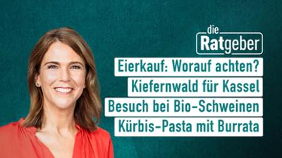 Die Ratgeber