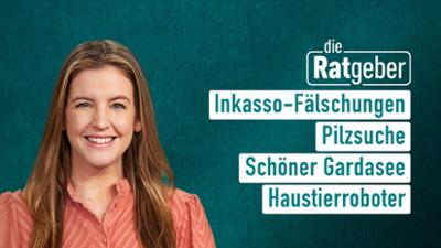 Die Ratgeber Die Ratgeber