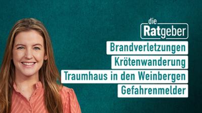 Die Ratgeber Die Ratgeber