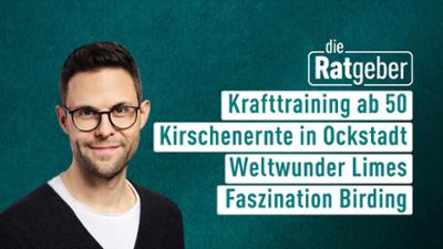 Die Ratgeber