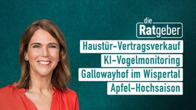 Die Ratgeber