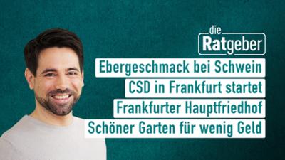 Die Ratgeber