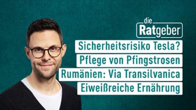 Die Ratgeber