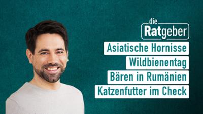 Die Ratgeber