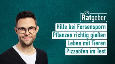 Die Ratgeber