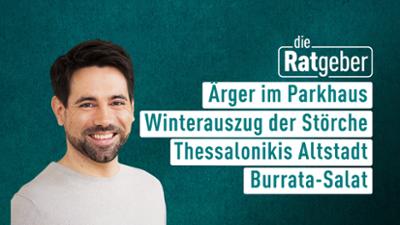 Die Ratgeber