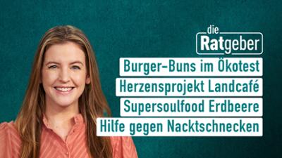 Die Ratgeber