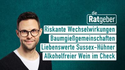 Die Ratgeber