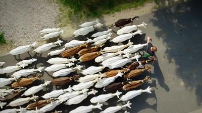 Dokus und Reportagen: So geht Heimat - Unterwegs in Süd- und Mittelhessen