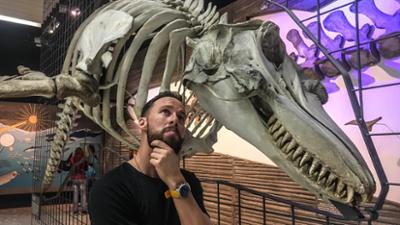 Dokus und Reportagen: Expedition Senckenberg