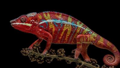 Dokus und Reportagen: Welche Macht haben Farben?