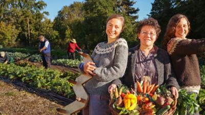 Erfolgreich mit Permakultur? - Die Frankfurter Stadtfarm: Erfolgreich mit Permakultur? -  Die Frankfurter Stadtfarm