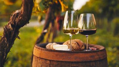 Genussvoll durch Rheinhessen Genussvoll durch Rheinhessen