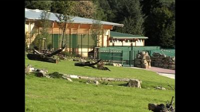 Giraffe, Erdmännchen & Co.: Mufflige Savannen-Bewohner (28)