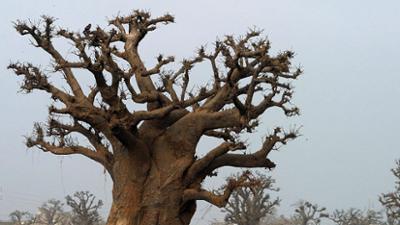 Giraffe, Erdmännchen & Co.: Familienanschluss für Tom und Jerry? (11)